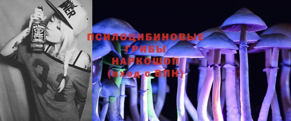 гашик Алзамай