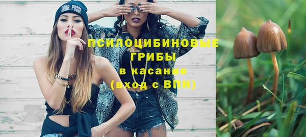 хмурый Алексеевка