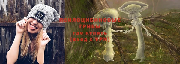 хмурый Алексеевка