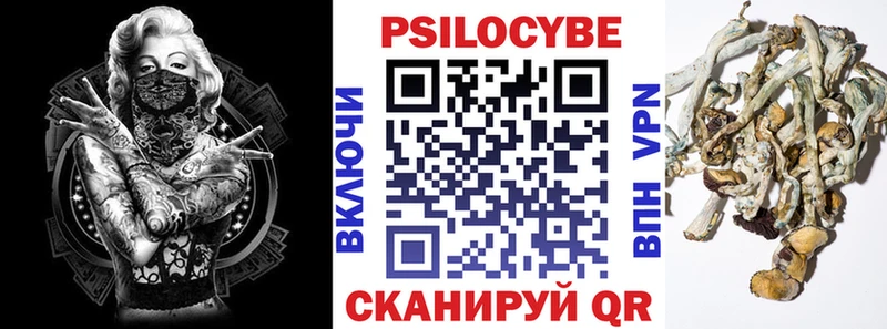 Галлюциногенные грибы мицелий  наркошоп  Арзамас 