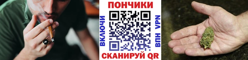 где найти наркотики Арзамас Шишки марихуана ГИДРОПОН